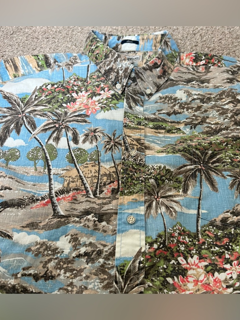 Reyn spooner Multicolor Hawaiian Button-Up with Blue and Tan Accents Size 3XL